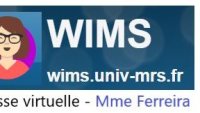 logo du site Wims - Classe Virtuelle Mme Ferreira