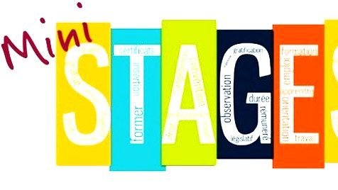 logo du site Mini stages en lycées professionnels 