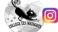 logo du site Instagram du collège