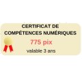 Certification des compétences numériques (PIX)