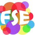 Qu'est ce que le FSE ?