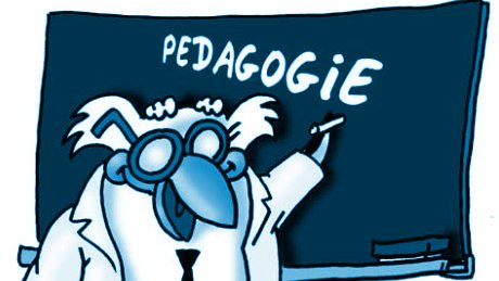Pédagogie - Disciplines