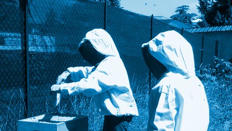 Atelier apicole - En cours de réalisation