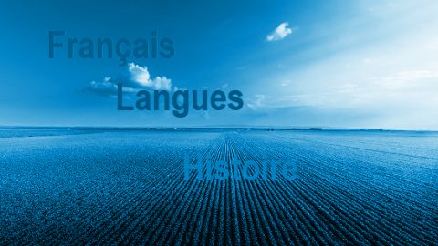 Lettres, langues vivantes étrangères et histoire-géographie