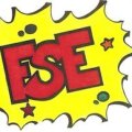 Qu'est-ce que le FSE ?
