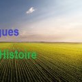 Lettres, langues vivantes étrangères et histoire-géographie