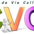 Conseil de Vie Collégienne CVC