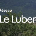 Actualités du réseau Le Luberon