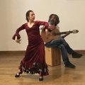 Conférence dansée sur le flamenco
