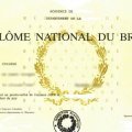 3e - Diplôme National du Brevet