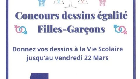 Concours Egalité Fille - Garçons
