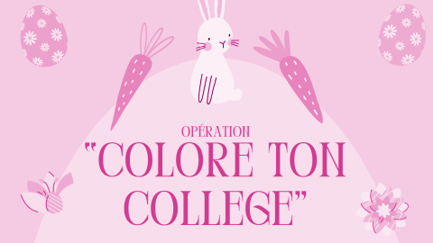 Le printemps du CVC : Opération « Colore ton collège »