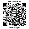Orientation : Liste des mini-stages