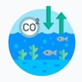 Projet « Acidification des océans »