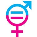 Égalité filles/garçons Année 2019-2020