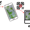 Cool Maze, une appli pour transférer une photo du téléphone à un (...)