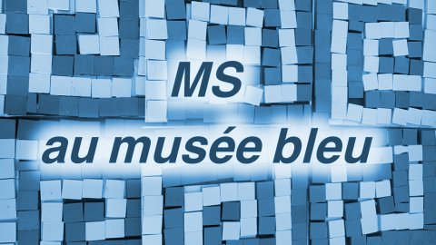 MS : Visite du Musée Départemental de l'Arles Antique