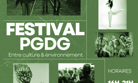 Festival PGDG