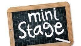Mini stage 2023-2024
