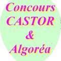 Concours Castor & Algorea