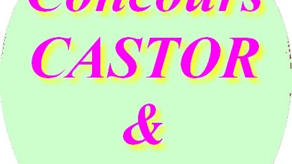 Concours Castor et Algorea